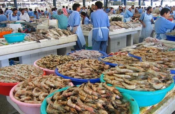 沙迦鱼市场