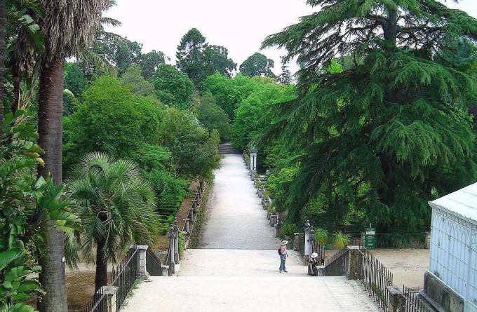 里约植物园_里约热内卢_巴西