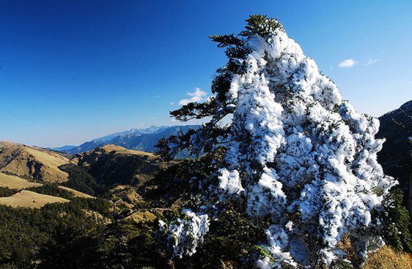 布雷山