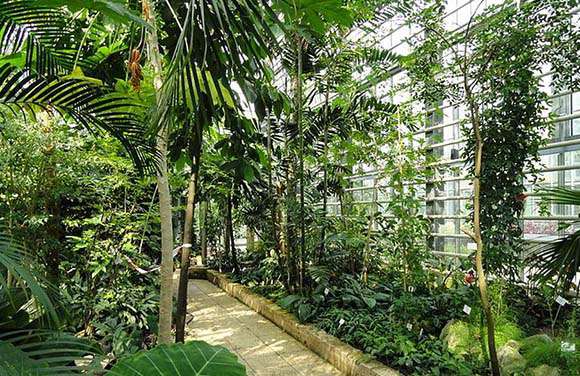 
	 弗赖堡植物园旅游