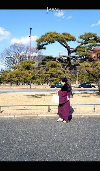 东京旅游攻略图片