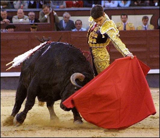 西班牙的国粹-斗牛