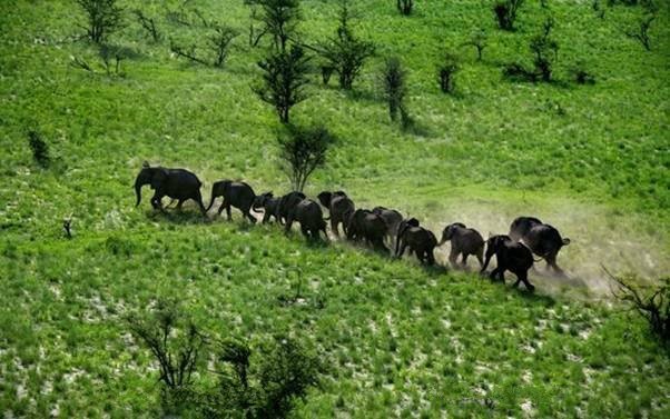 到非洲旅游-大象和彩虹：赞比亚的绿色季节
