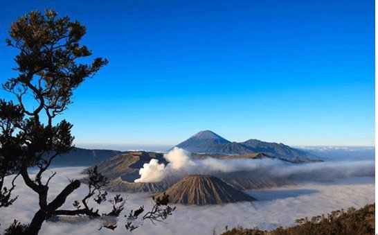 爪哇岛爪哇岛旅游概况、旅游必备