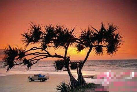 驰骋蓝色海滨 精彩澳洲自驾图片