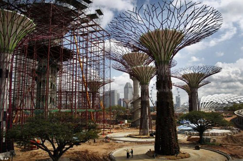 新加坡暑假旅游看奇观 50米混凝土巨树造森林