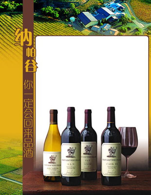 尝葡萄园美酒 去美国加州