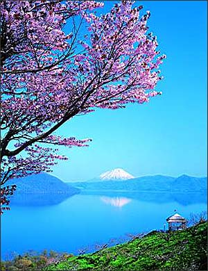 日本旅游鹿儿岛闻着花香泡温泉