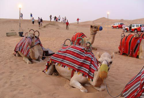 沙漠纵情 迪拜11月旅游最佳玩法图片