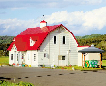 冬季畅游北海道 彩色日本赏枫泡汤