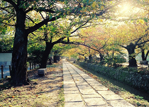 日本京都旅行：赏漫山红叶 留美好回忆