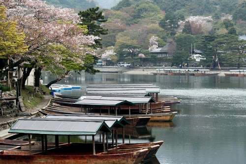 静享古朴和风 京都泡汤攻略图片