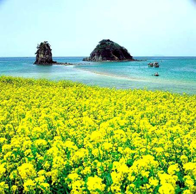 济州岛：享受美食　感悟爱情图片