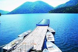 日本北海道：徜徉花海 非诚勿扰