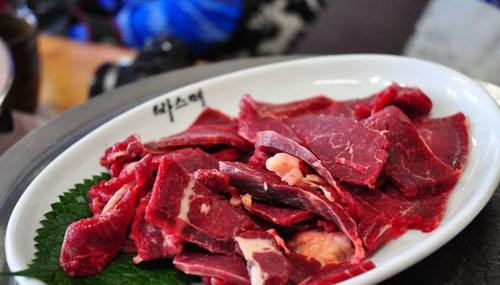 美味马肉 去韩国济州岛品尝图片