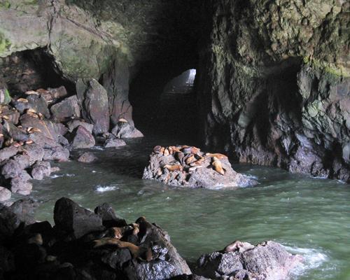 春节旅游另类线路推荐 探秘全球最神奇的九个水洞图片