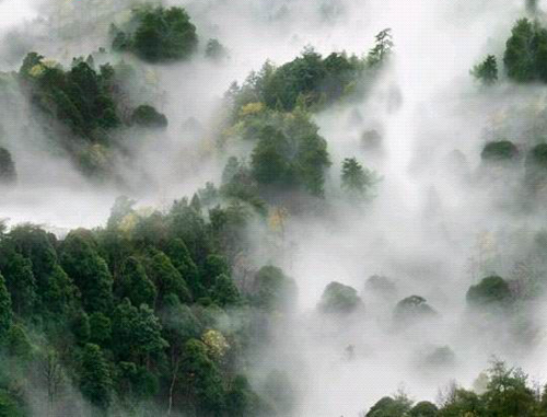 江西井冈山旅游攻略