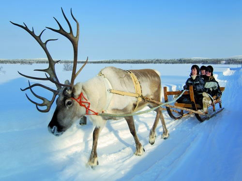 圣诞节旅游推荐地：芬兰