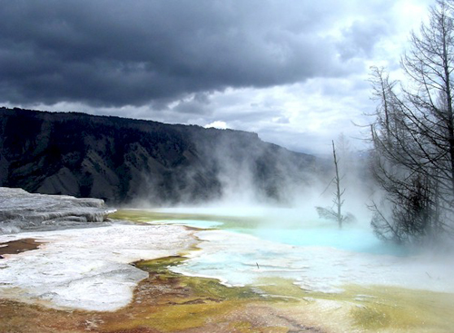 美国黄石公园猛犸温泉 Mammoth Hot Springs