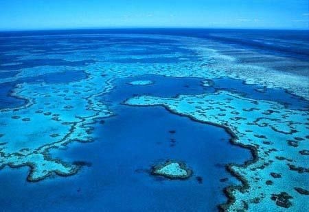澳洲大堡礁：世界最大最长的珊瑚礁群