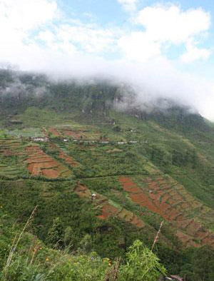 斯里兰卡：天造地设 岛中旅游必选之地