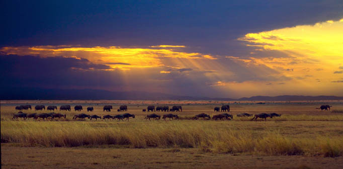 肯尼亚最著名的旅游景点
