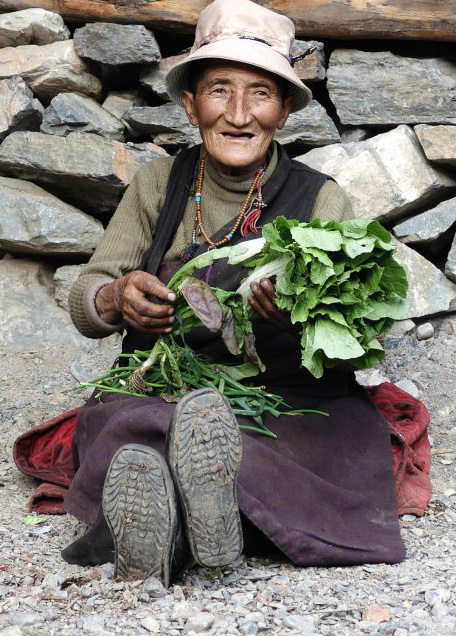 西藏 思念是一种味道图片