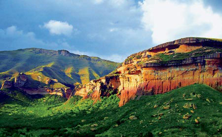 新鲜：南非国家公园散发独特魅力图片