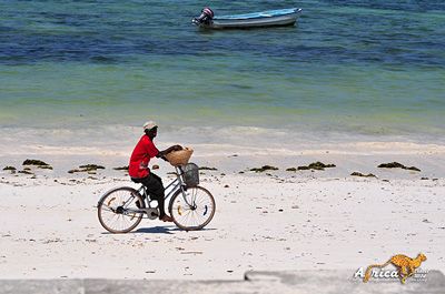 9月到非洲旅游-坦桑尼亚月圆节