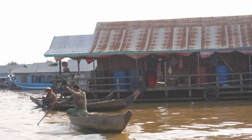 柬埔寨的水上人家 水上养猪成为风景图片