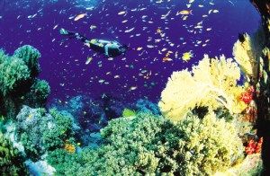 碧海蓝天普吉岛 悠闲的热带胜地图片