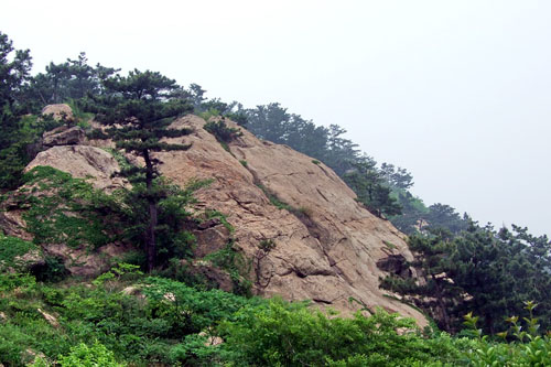 连云港：享受休闲时光 风景就在脚下图片