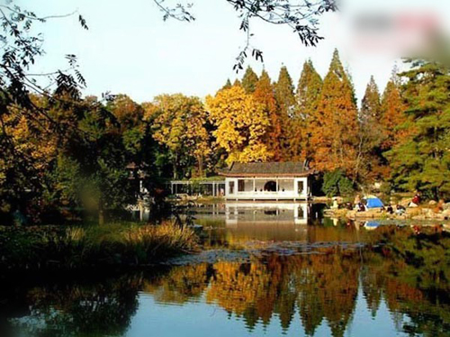 人少景美 杭州心旷神怡赏秋路线图片