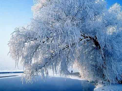 约会美丽冬天 中国六大赏雪地览胜图片