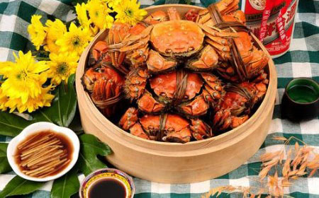 阳澄湖镇唯亭镇：岛上吃蟹 风景这边独好