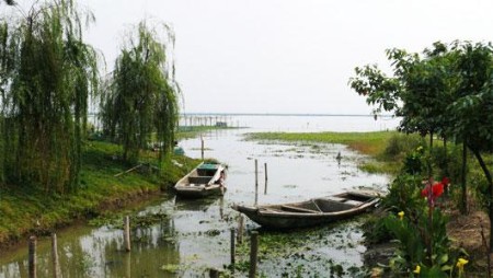 阳澄湖莲花岛之旅