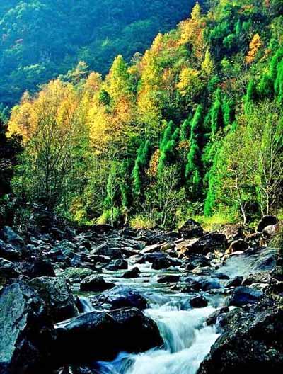 《霍元甲》惟一外景地：仙居图片