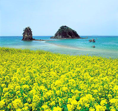 济州岛：门朝大海 春暖花开