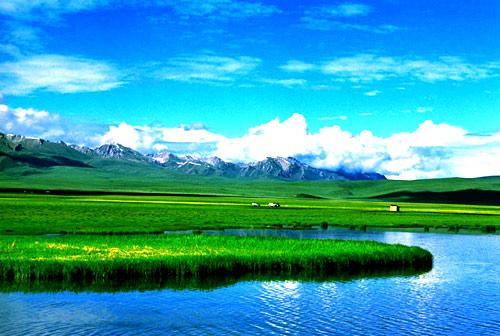 尼汝：山势险峻 美丽的高原草甸图片