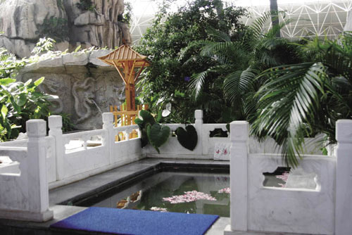 八达岭温泉 温泉大乐园图片