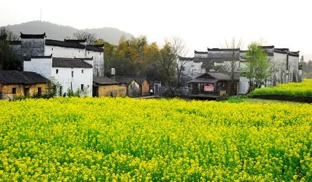 浪漫至极 国内小镇蜜月旅游目的地推荐图片