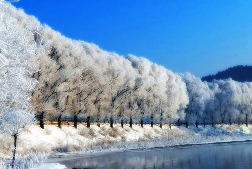 东北雪乡旅游 走进童话般的美丽世界图片