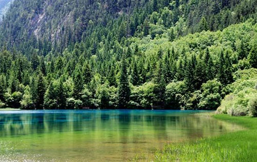 四川九寨沟 夏季避暑最佳地图片