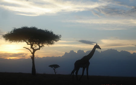 肯尼亚震撼心灵之旅