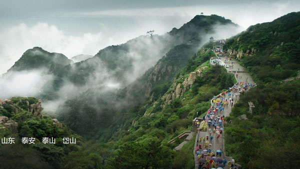 去山东旅游要多少钱