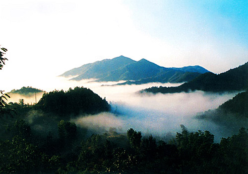 去伏牛山避暑享受美食