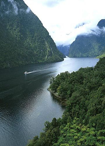 神奇峡湾(Doubtful Sound)与米尔福德峡湾(Milford Sound)：新西兰西南部的绝美世遗地