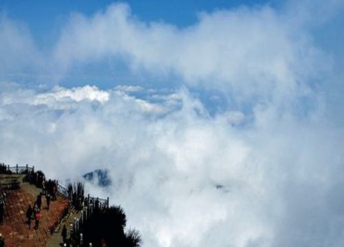 金鼎赏杜鹃-峨眉山旅游推荐