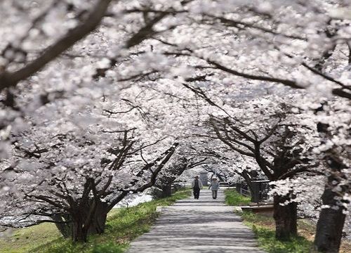 古城松江：探究日本文化的起源