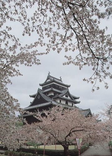 日本松江城天守阁旅游介绍